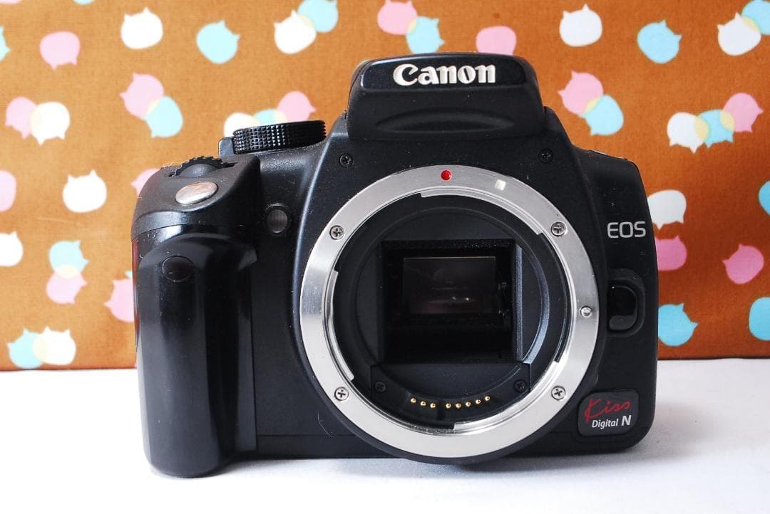 ✨お買い得✨Canon Kiss Digital N ダブルレンズセット