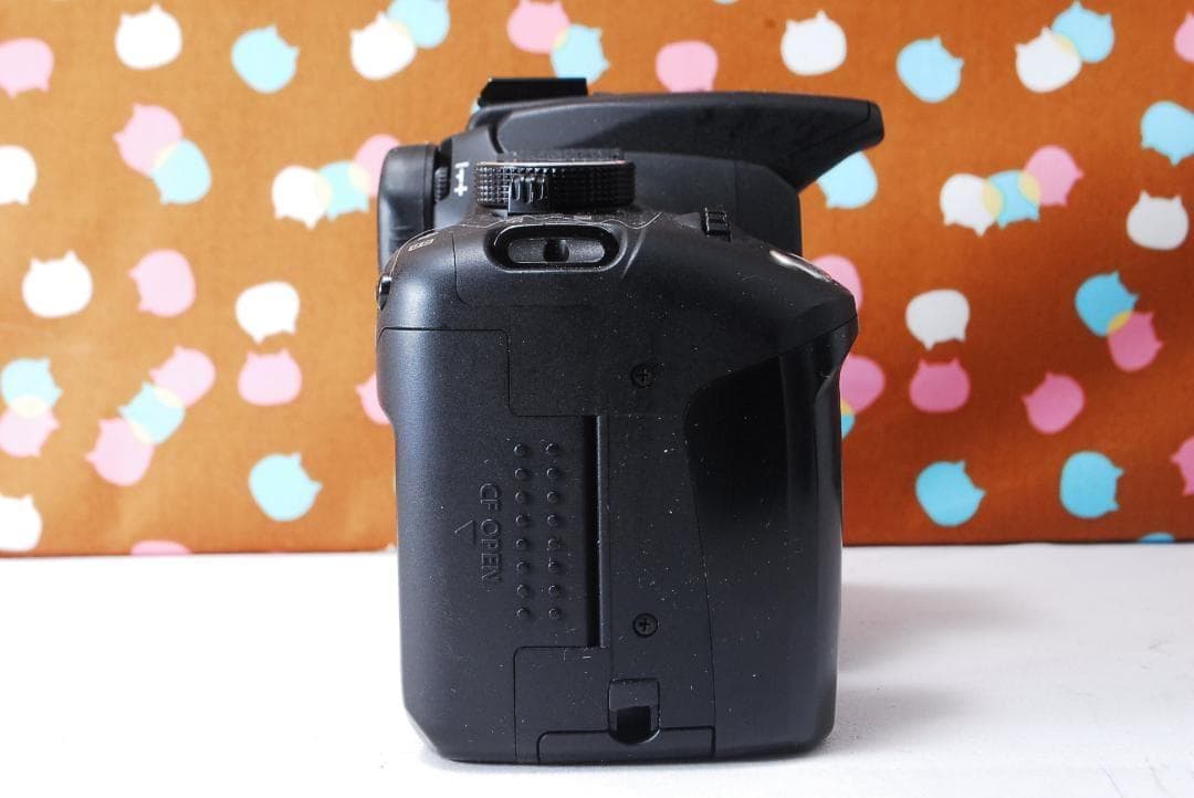 ✨お買い得✨Canon Kiss Digital N ダブルレンズセット