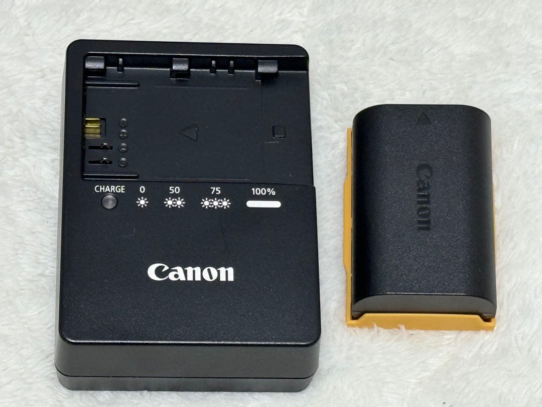Canon EOS 6D mark Ⅱ カメラボディ
