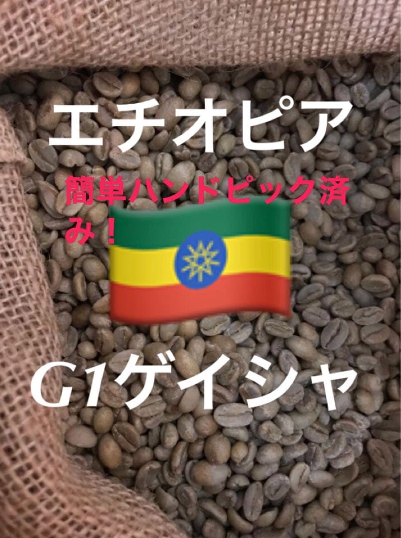 ゴリG1ゲイシャ1.5Kgコーヒー生豆！焙煎しておりません！簡単なハンドピック済