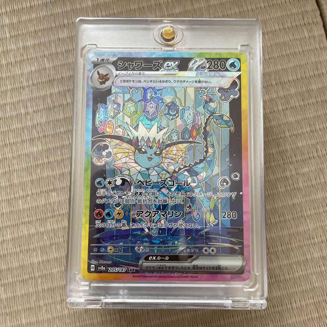 ブイズセット　sar　極美品　テラスタルフェス