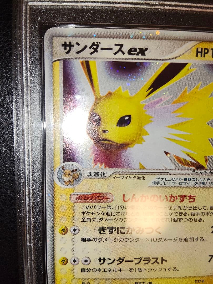 サンダースex　アンリミ　psa10　鑑定　ホロンの研究塔　ハーフデッキ