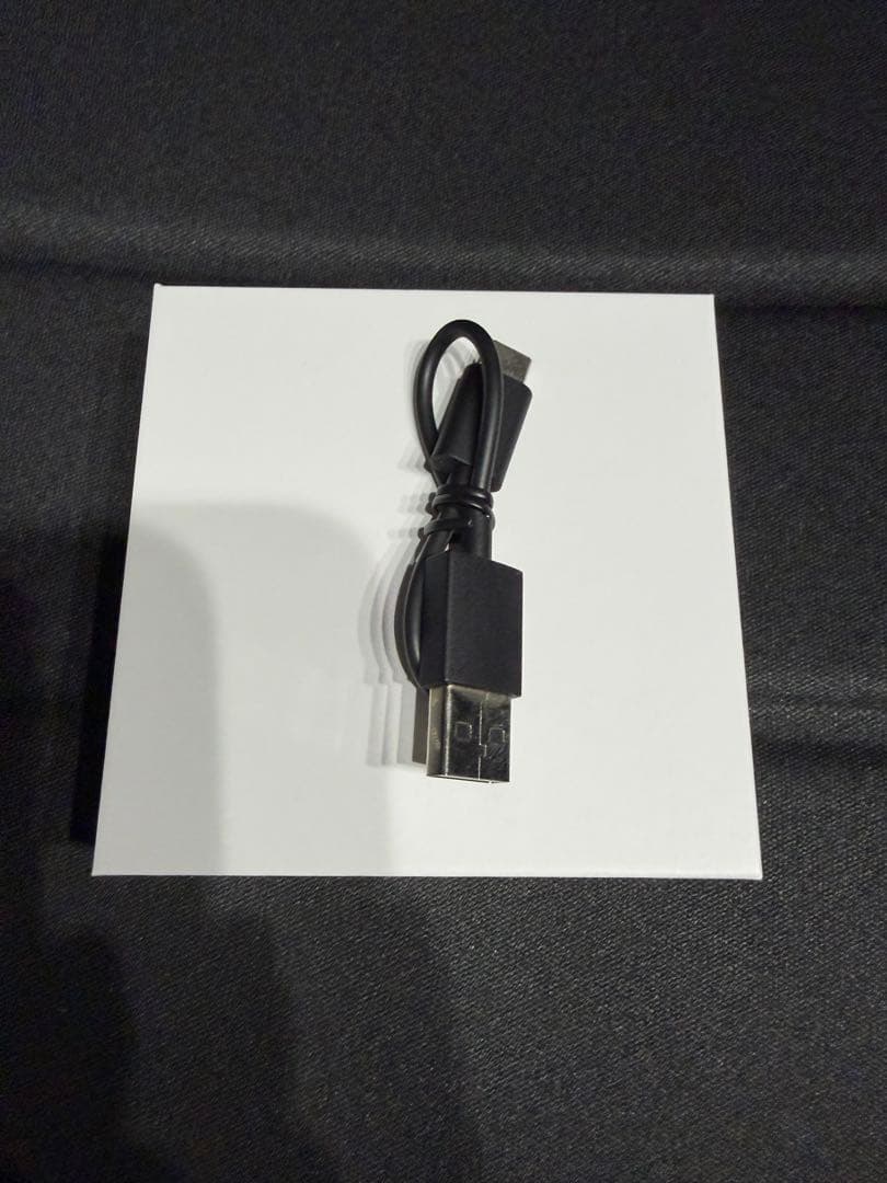 Denon Perl Pro AH-C15PL ワイヤレスイヤホン