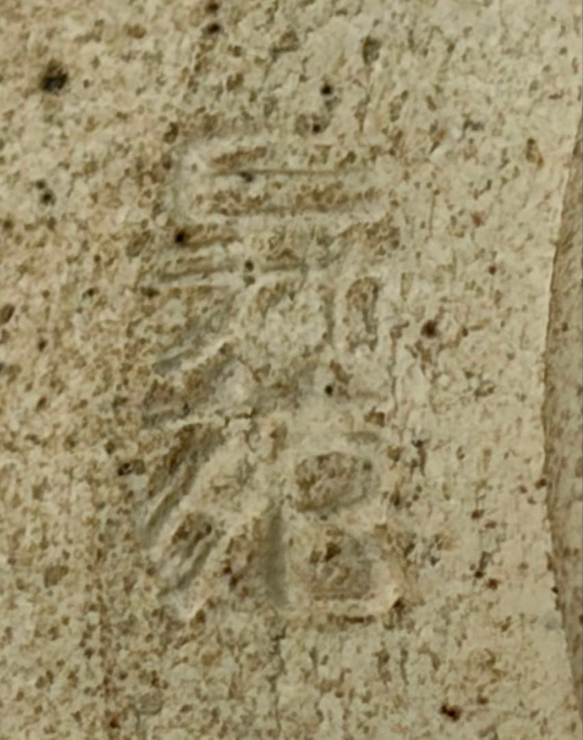 【若尾昇苑 作】美濃焼 志野焼 筒茶碗 抹茶碗 植物紋 本体のみ 茶道具