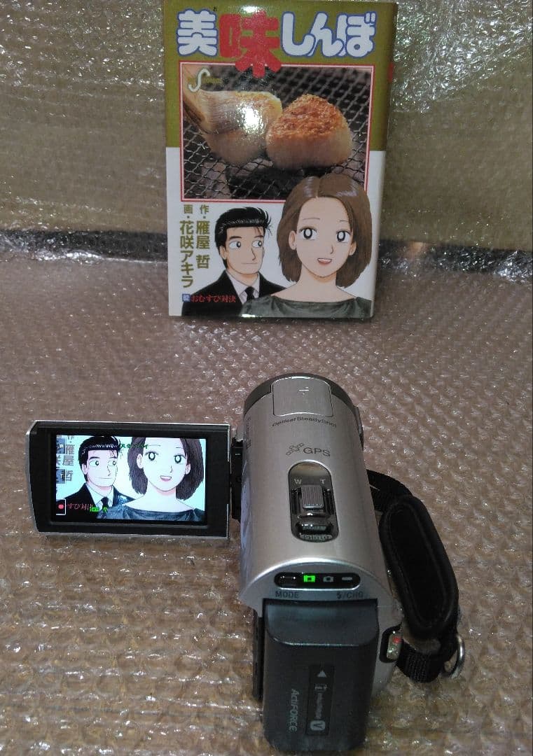 お散歩フルHDビデオカメラ