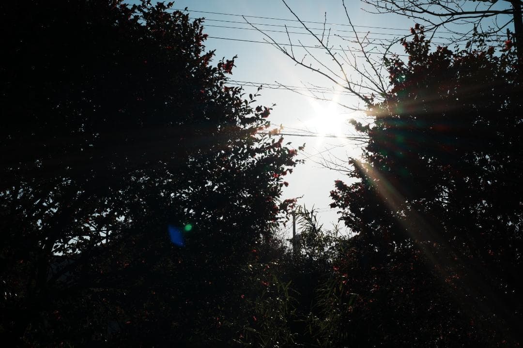 【鷹の目】Carl Zeiss tesser 45mm f2.8 AEJ 512
