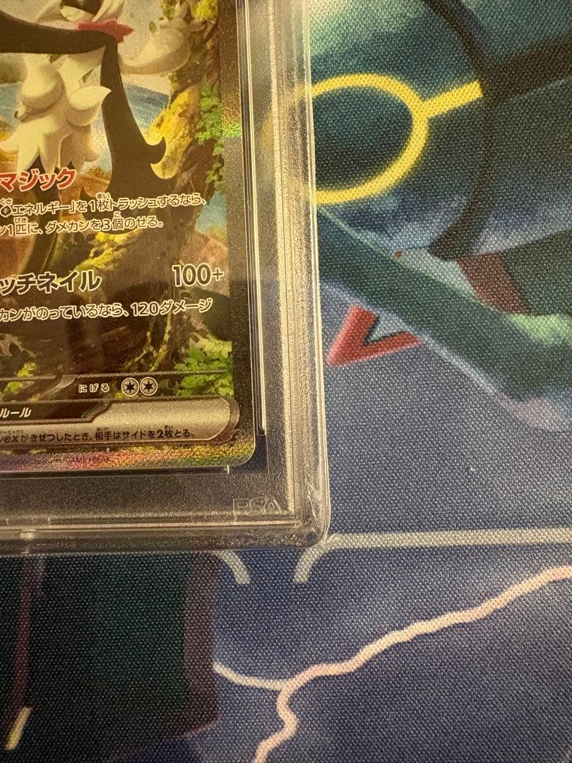 マスカーニャex SAR PSA10