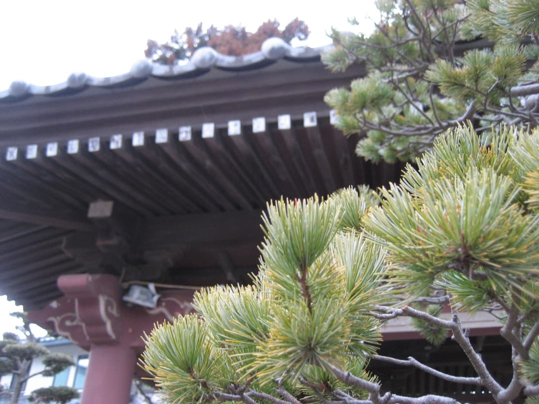 追加有⭕️難有【動作確認済】Canon　IXY　DIGITAL 70 PC1193