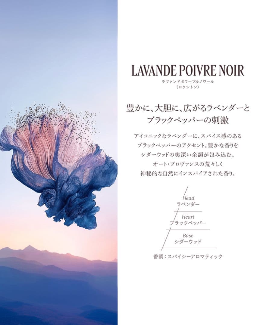 L'Occitane ラヴァンドポワーブルノワール オードトワレ【公式通販限定】