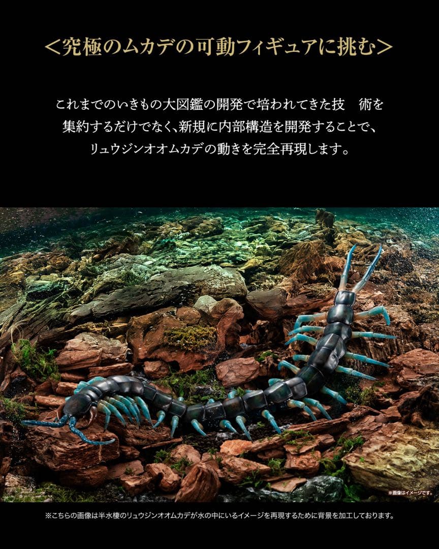 いきもの大図鑑アルティメット リュウジンオオムカデ 新品未開封品