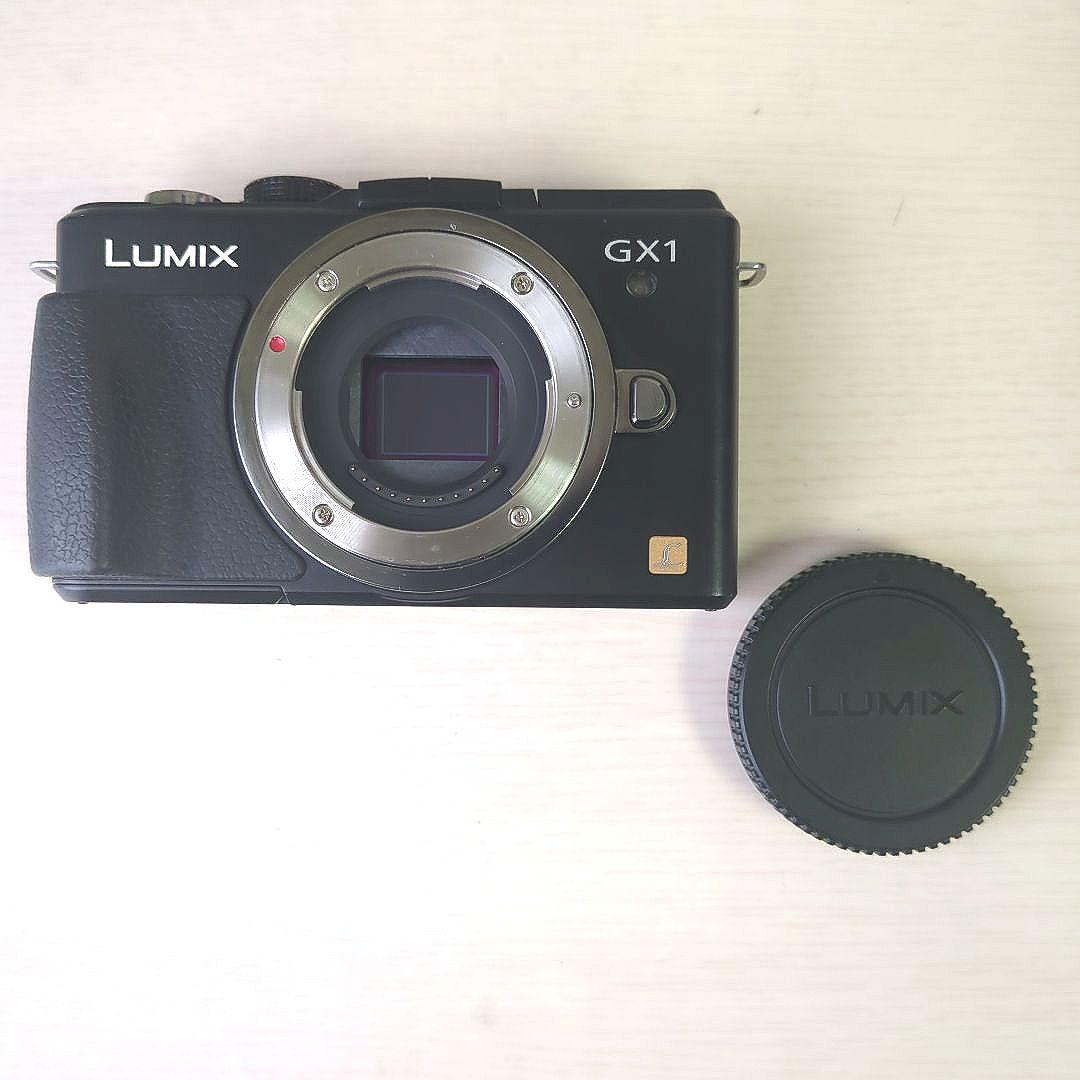 LUMIX GX1 ミラーレスカメラ レンズ付き