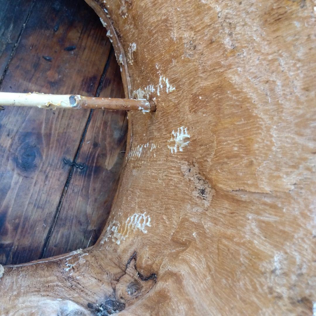 日本みつばち分蜂群捕獲丸洞のみ