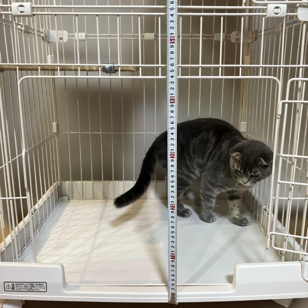 アイリスオーヤマ　猫ミニキャットケージ キャスター付き2段式　取扱説明書付