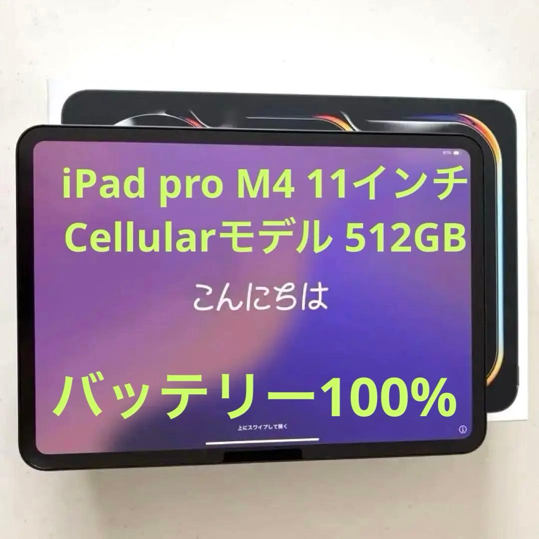 美品】iPad Pro 11インチ M4 cellular 512GB ブラック