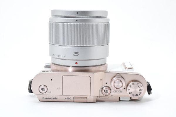【美品】パナソニック LUMIX DC-GF10W / G 25mm/F1.7
