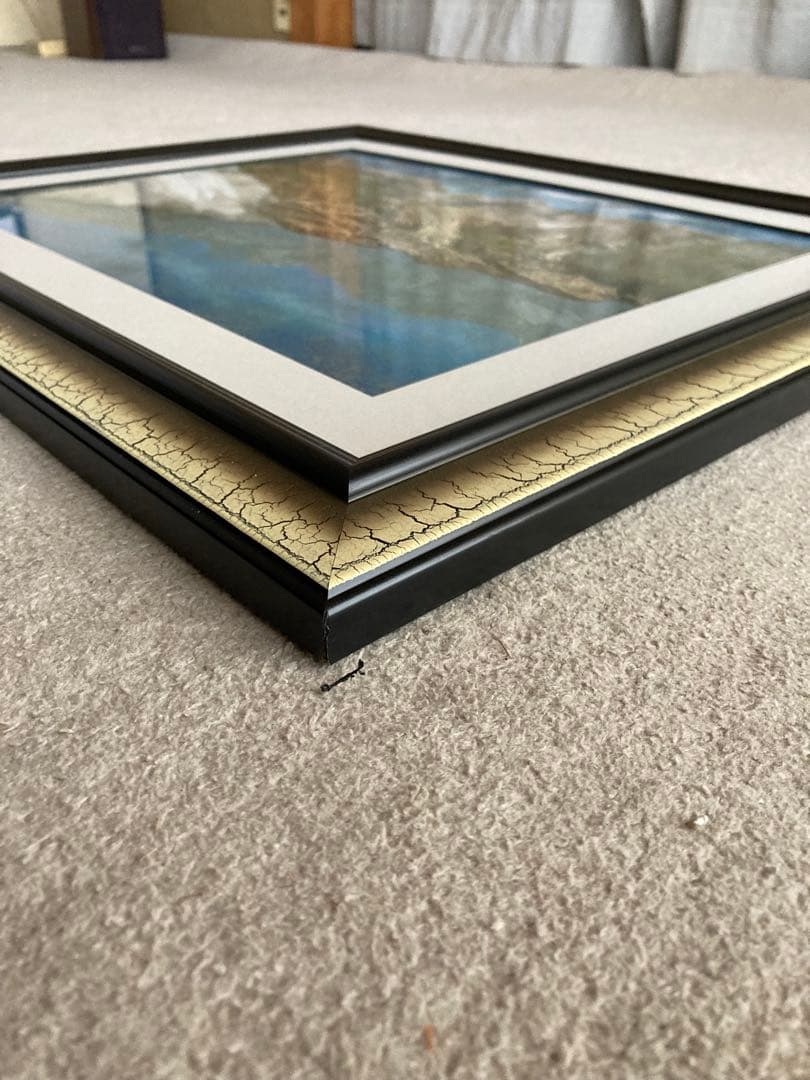 一点もの ナチュラルアート 自然素材コラージュ 額装（ガラス入り）50×60cm