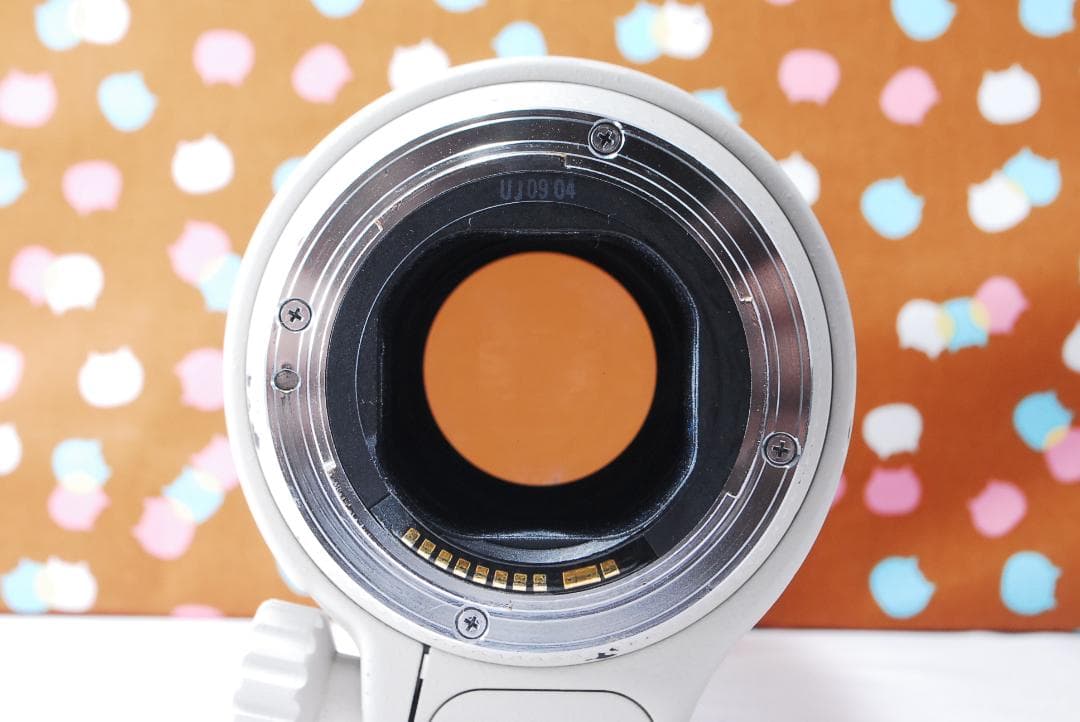 ✨動作良好✨Canon EF 70-200mm F2.8 L