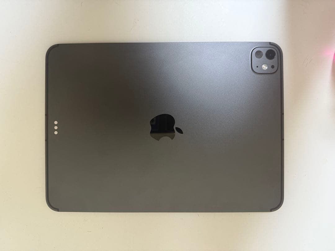 iPad本体 rio