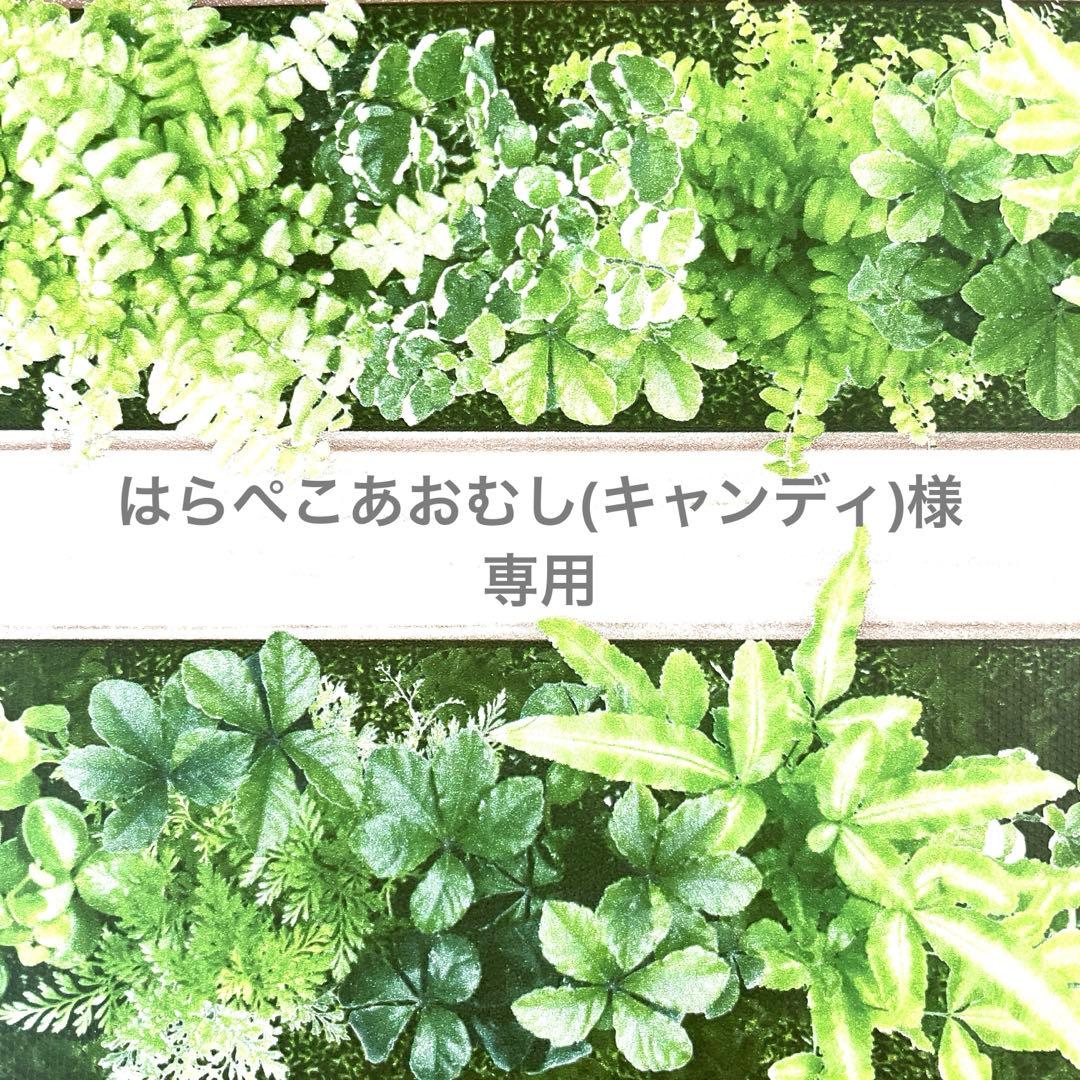 はらぺこあおむし(キャンディ)ページ トリミングチョーカーさくら春アソート