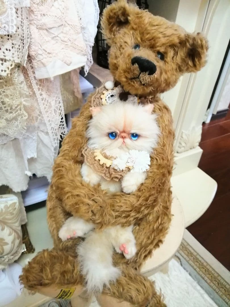 抱っこちゃん❤️猫*エキゾチック❤️ハンドメイド*ぬいぐるみ❤️抱っこにゃん❤️