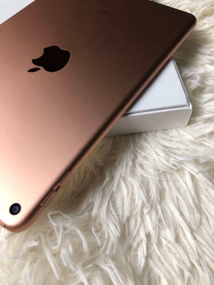 【早い者勝ち】iPad mini5 64GB 【すぐ発送】