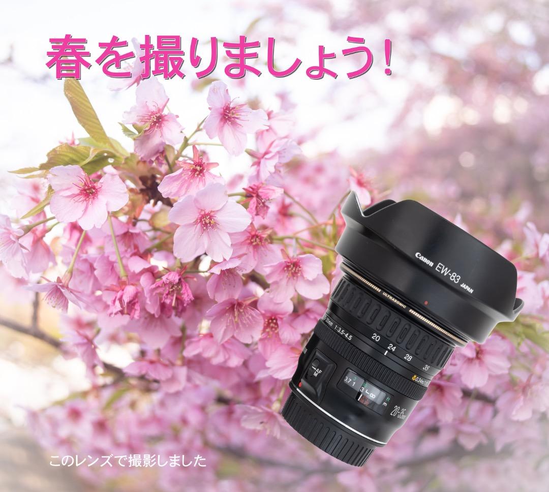 Canon EF 20-35mm 3.5-4.5 EW-83 純正フード付き