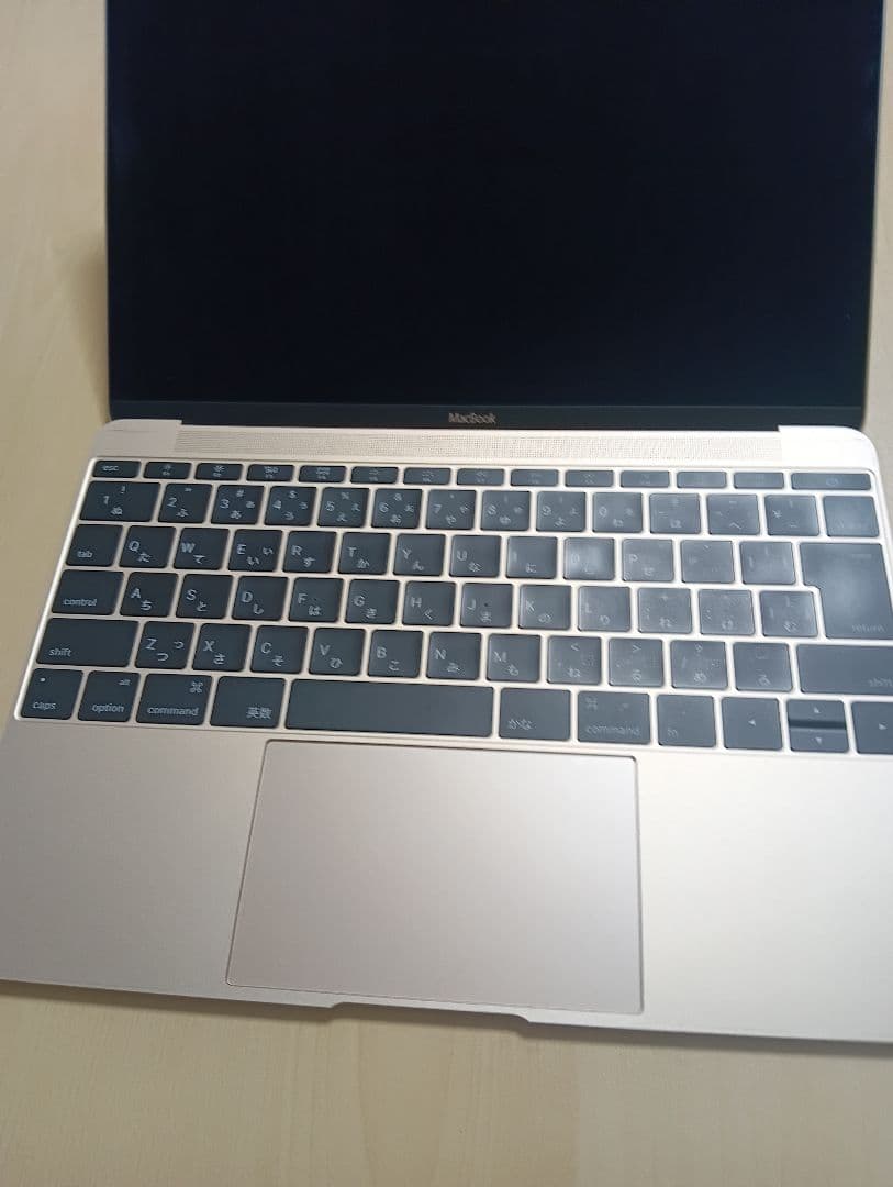 Apple MacBook ピンク本体