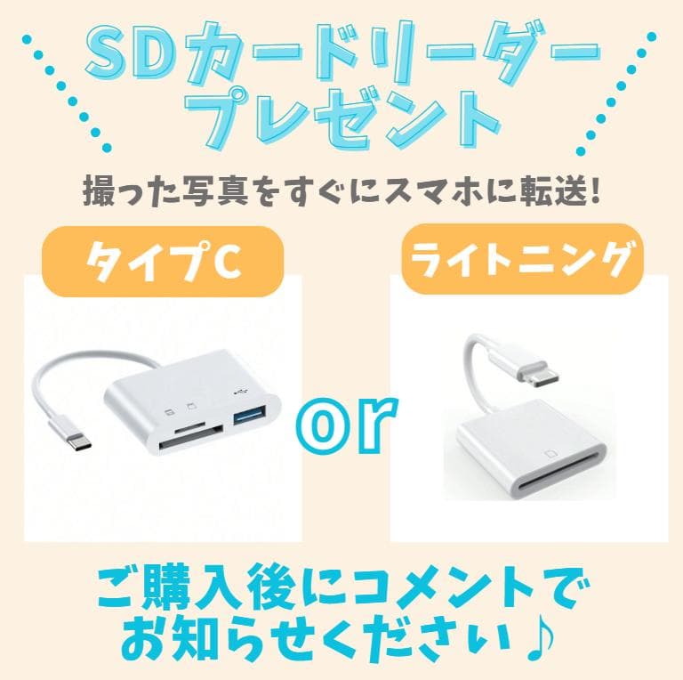 【箱・付属品付き】Nikon D5300　WiFiモデル　スマホ転送　自撮りOK