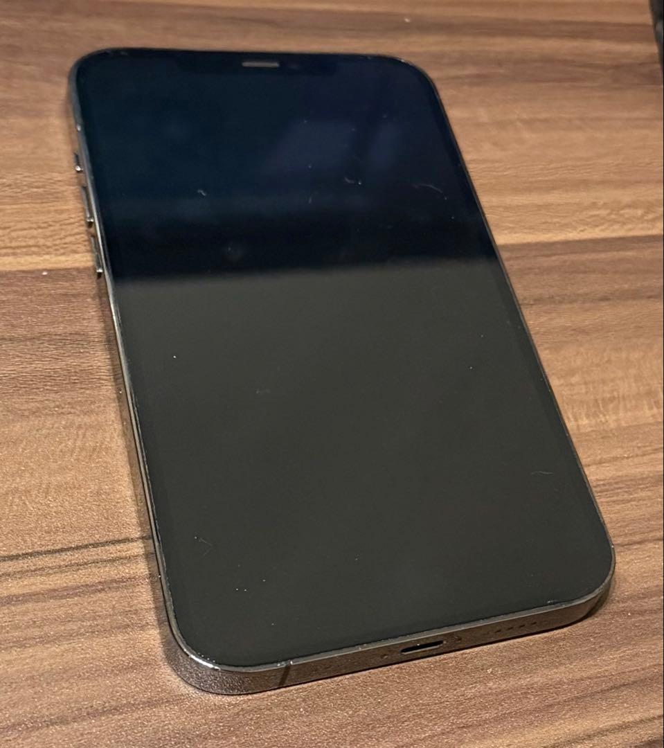 iPhone 12 Pro Max グラファイト ケース付き