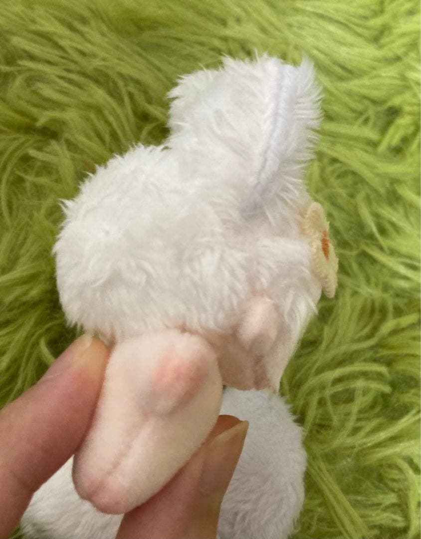 セミオーダー・momochimoo