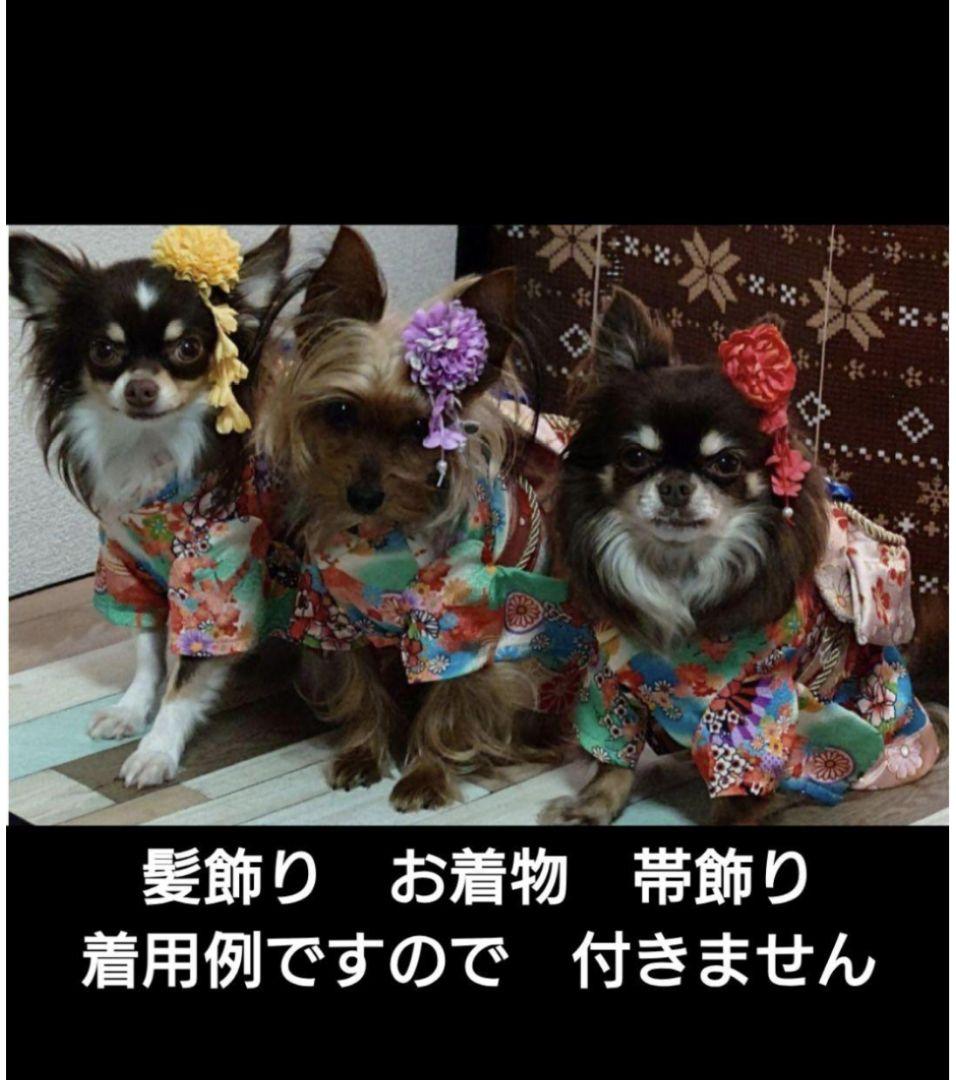 ONEKOSAMA OINUSAMA　犬着物　晴れ着　お花見　　XS ②