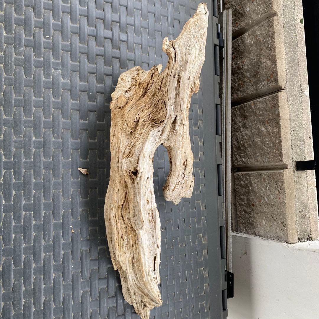 水槽用流木 約80cm 自然な形状
