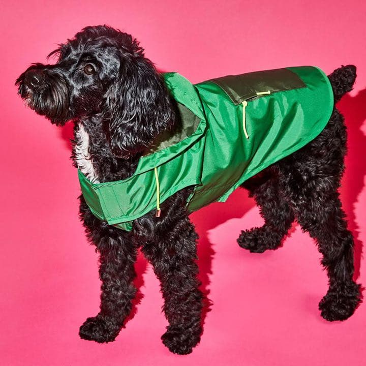 【新品】【輸入品】犬用レインコート(グリーン/オリーブ)サイズ1