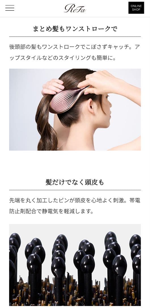 リファエールブラシレイ　ブラック 専用ケース付き