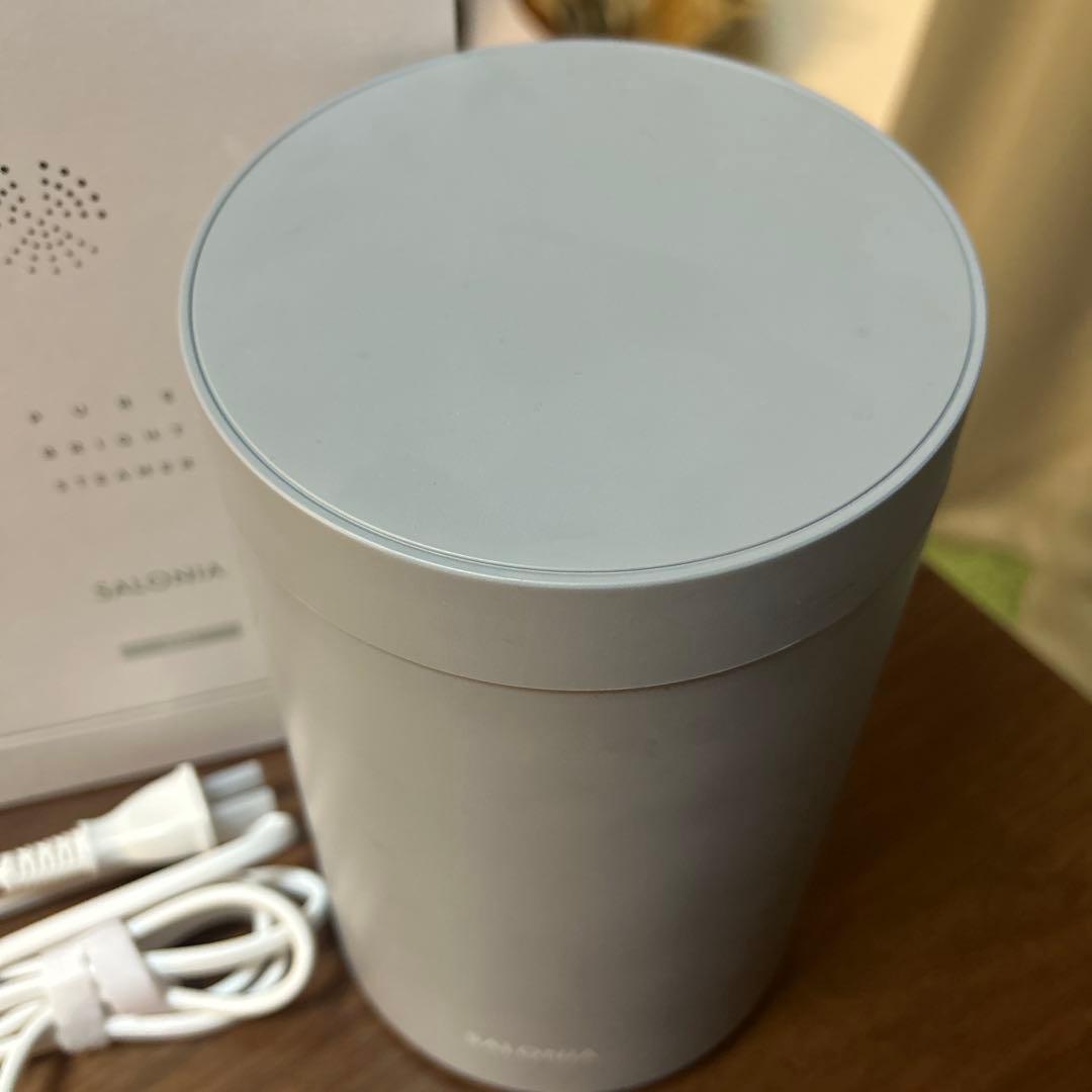 SALONIA サロニア　ピュアブライトスチーマー　グレー