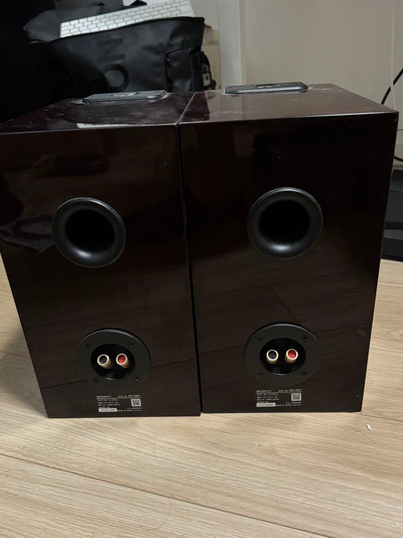 スピーカー・ウーファー SONY SS-HW1