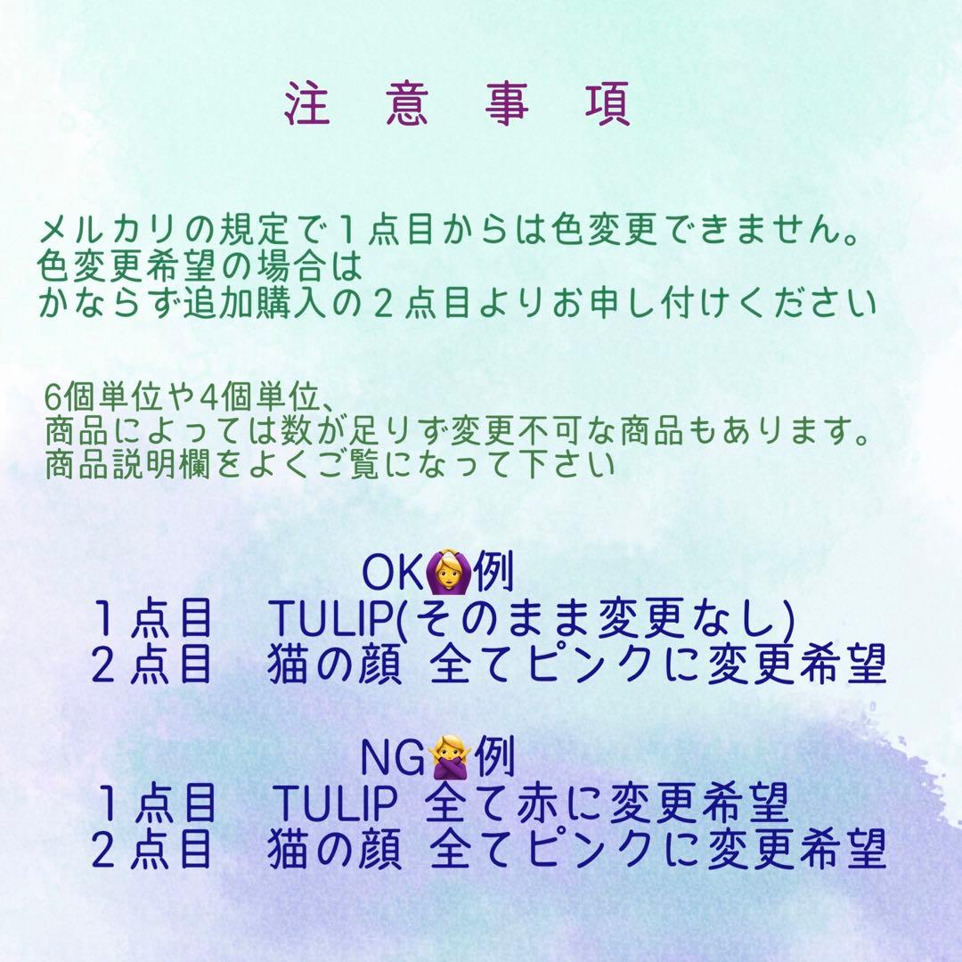 その他 tishi