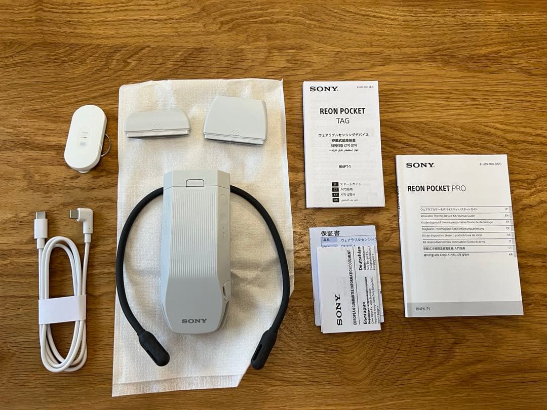 【おいもさん専用】SONY REON POCKET PRO