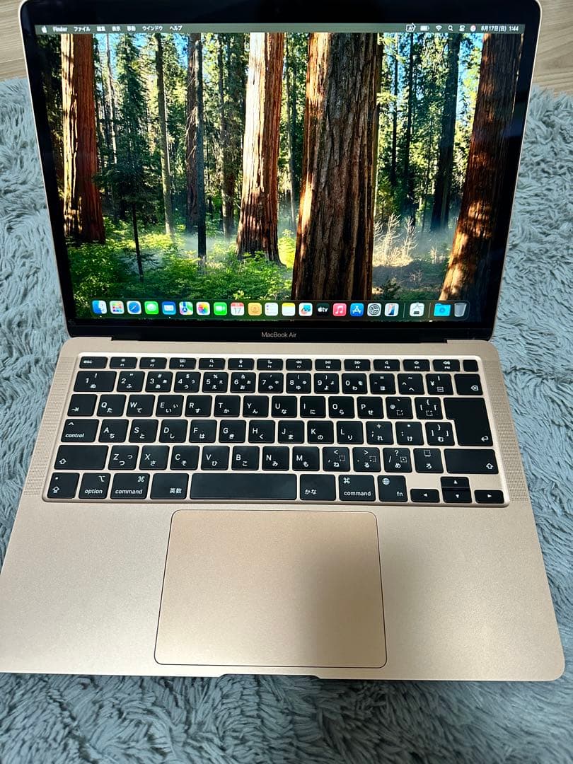 M1 / MacBook Air / 2020 / 美品 / 充放電回数8回
