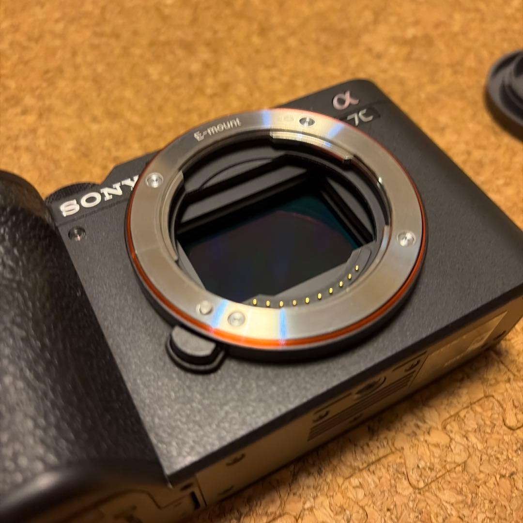 SONY(ソニー) フルサイズ ミラーレス一眼カメラ α7CII