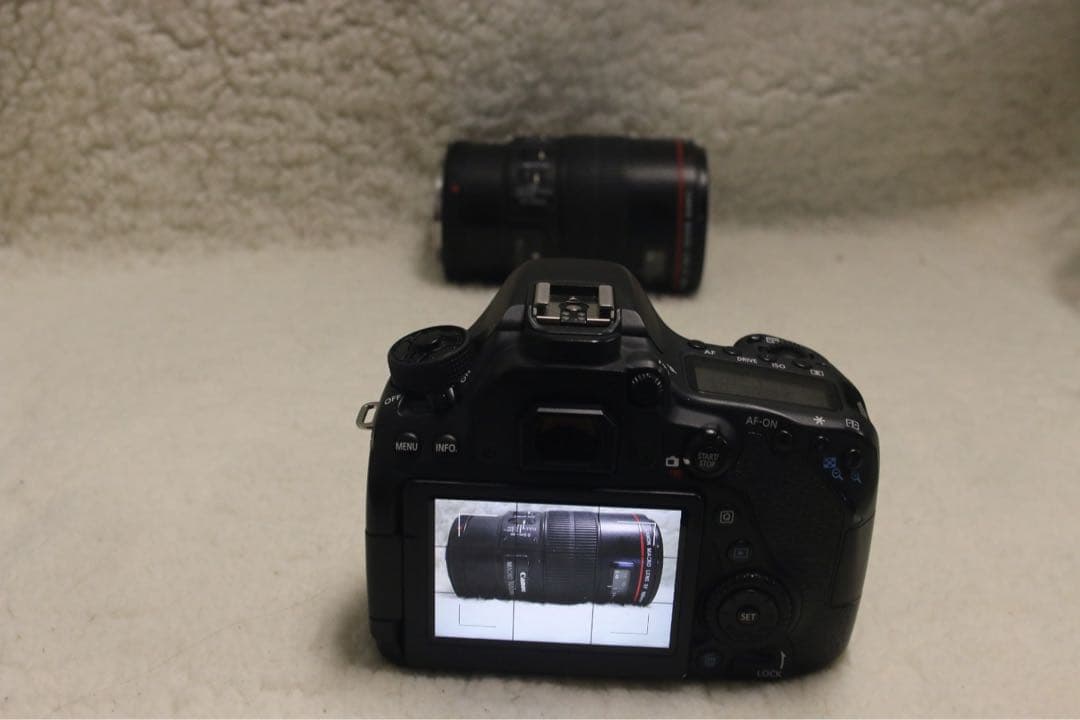 Canon EOS 80D デジタル一眼レフカメラ　訳アリ