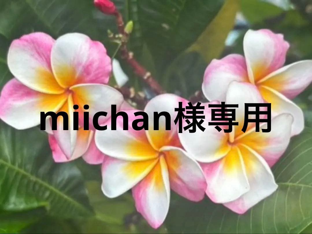 トートバッグ Michal
