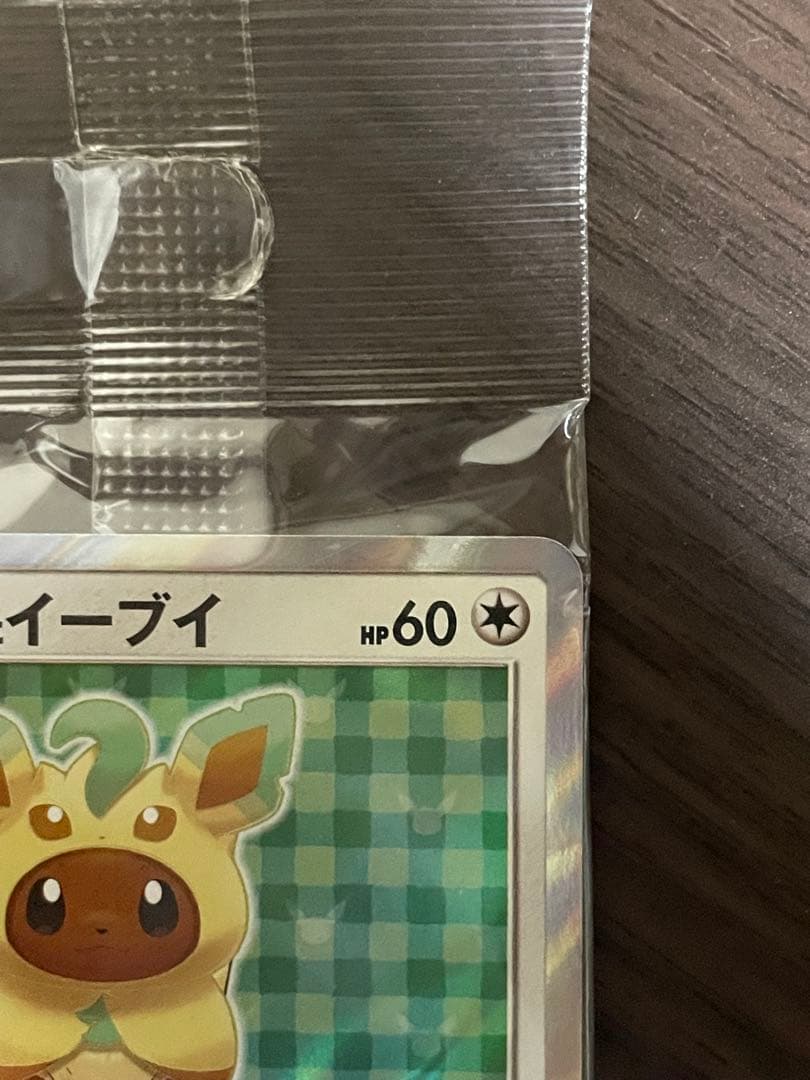未開封:ポンチョを着たイーブイ　リーフィア