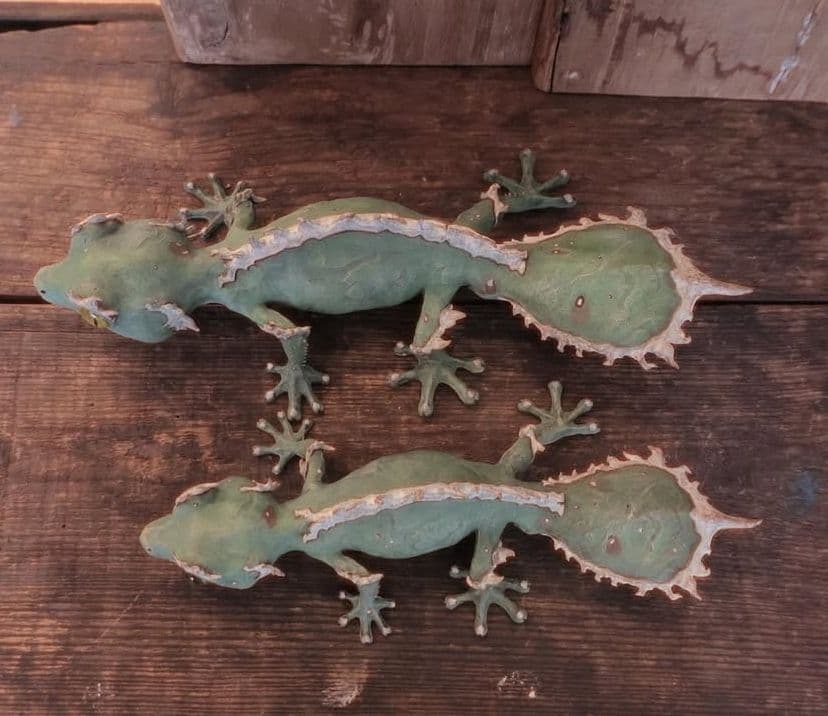 owzrt オズワートGecko Oteroi Satanic Agave