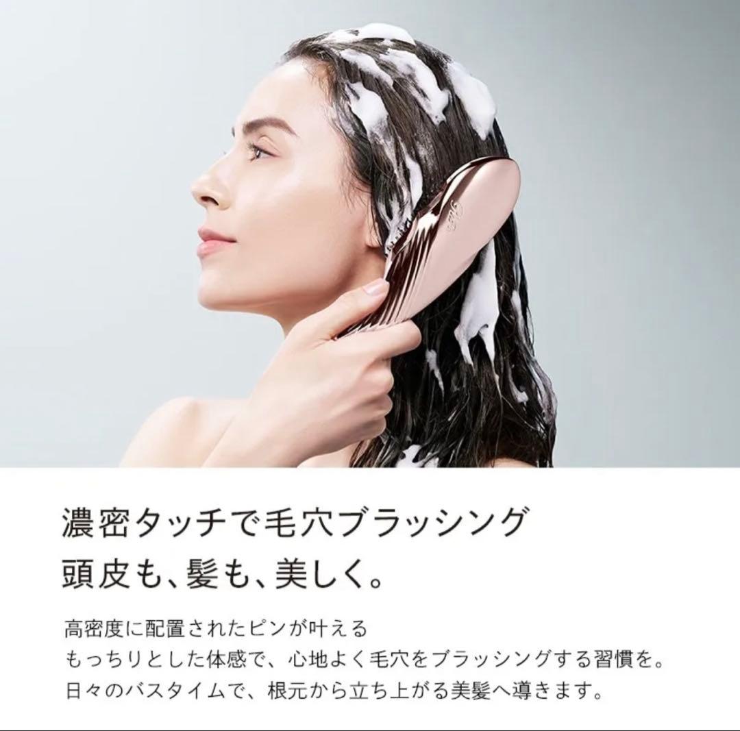 fei 様　　　リファ イオンケアブラシ　プレミアム　ローズゴールド