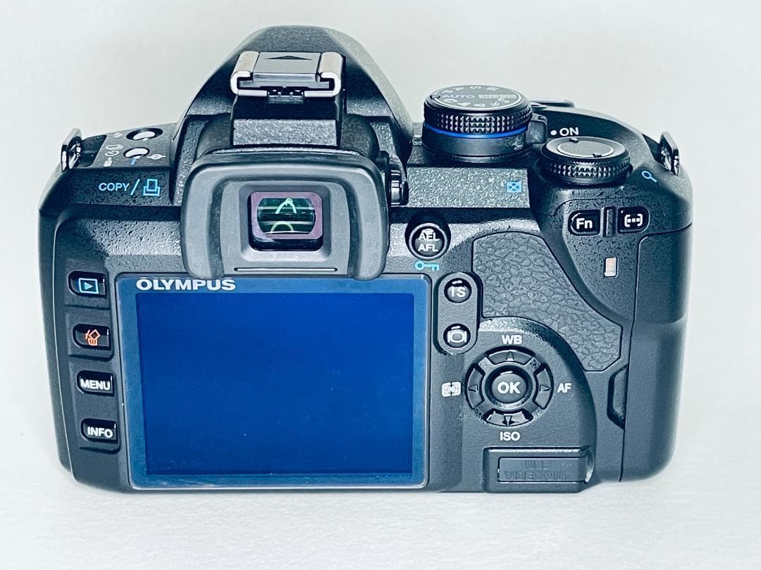 ショット数2396回 美品動作◎ オリンパス OLYMPUS E-520 ボディ