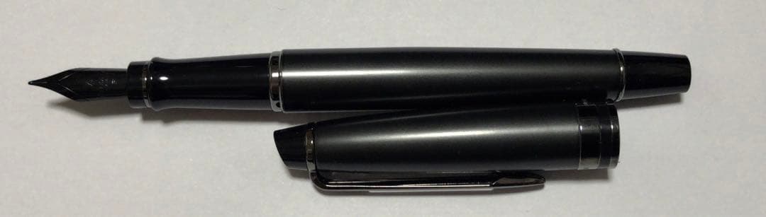WATERMAN 万年筆 エキスパート ペンケースセット 替えインク付き