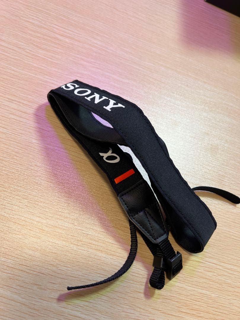 SONY α6600 ミラーレス一眼 ボディのみ 美品