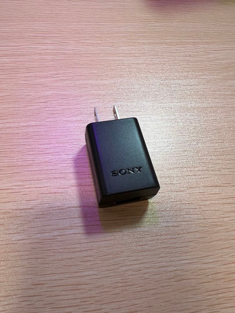 SONY α6600 ミラーレス一眼 ボディのみ 美品