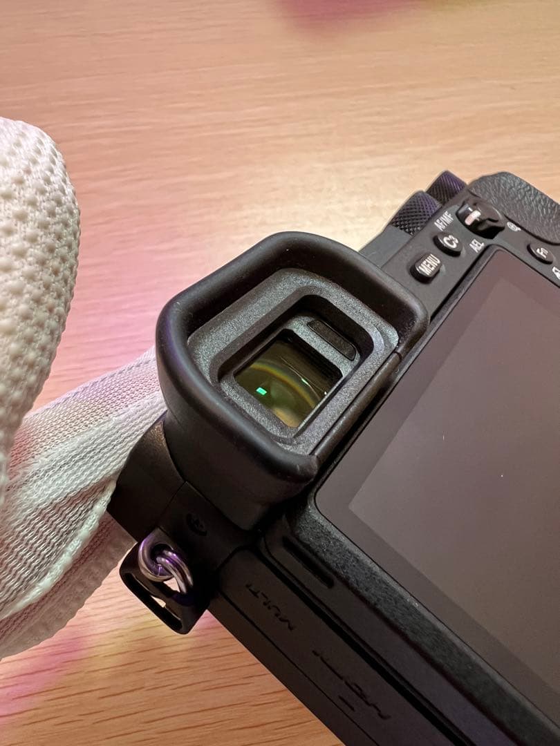 SONY α6600 ミラーレス一眼 ボディのみ 美品